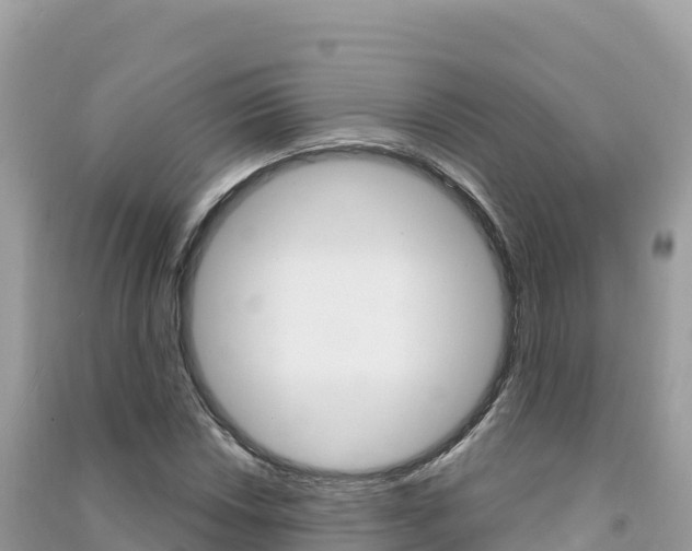 X0000091311018200708101104