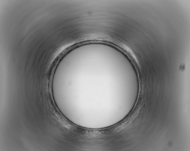 X0000091311019200708101104