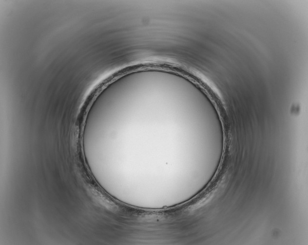 X0000091311021200708101104