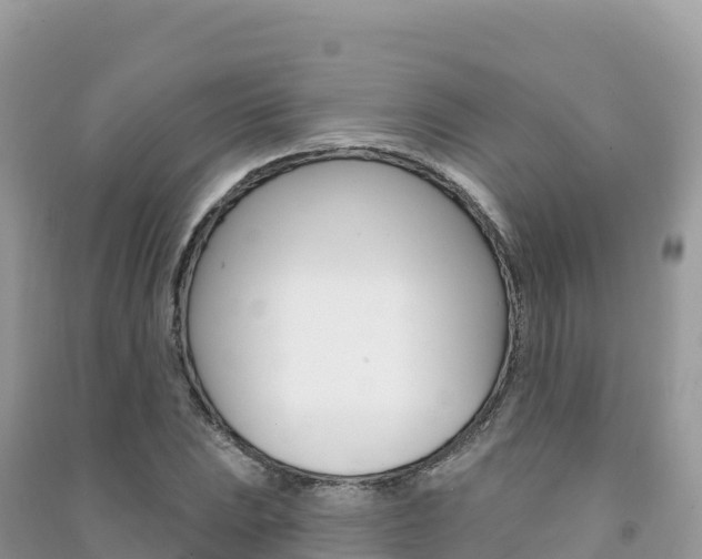 X0000091311023200708101104