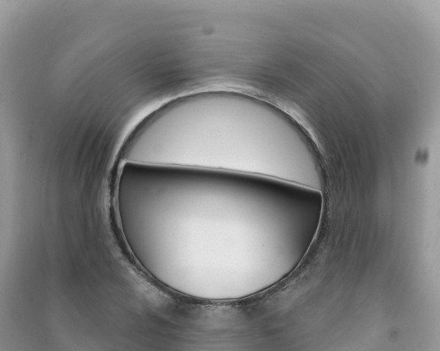 X0000091311024200708101104