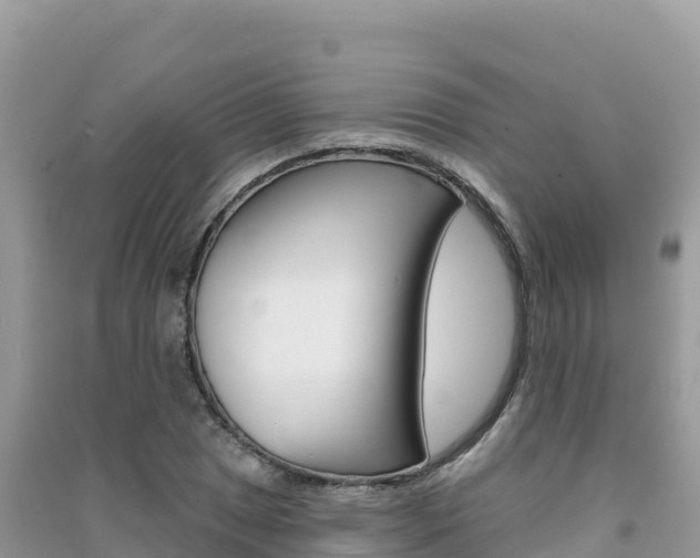 X0000091311025200708101104