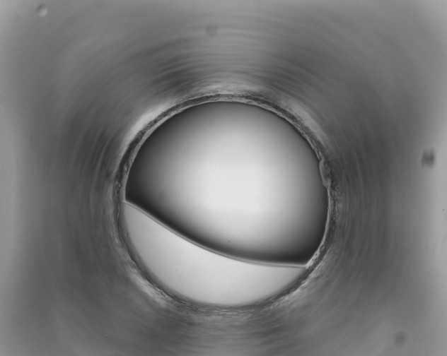 X0000091311026200708101104