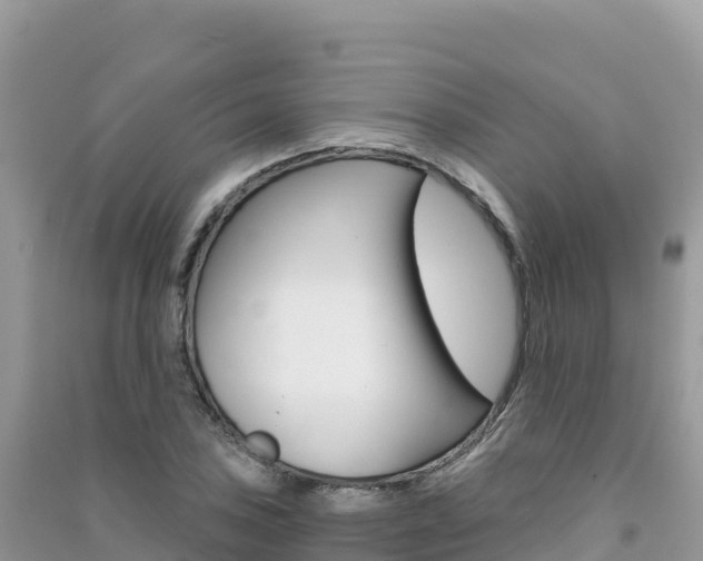 X0000091311027200708101104
