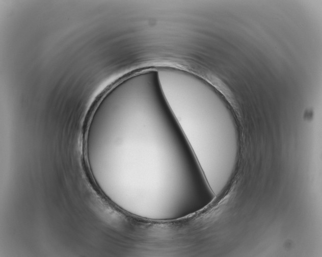 X0000091311028200708101104