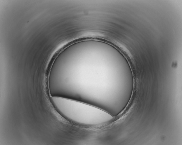 X0000091311029200708101104