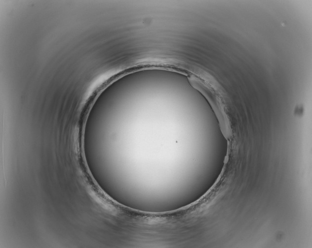 X0000091311030200708101104