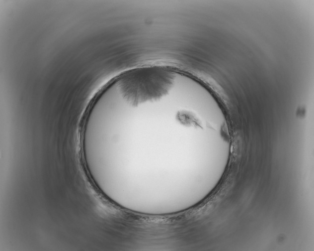 X0000091311031200708101104