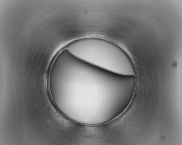 X0000091311032200708101104