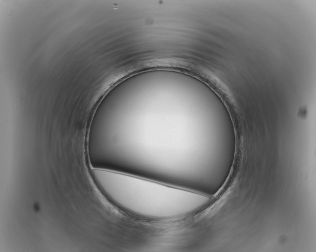 X0000091311033200708101104