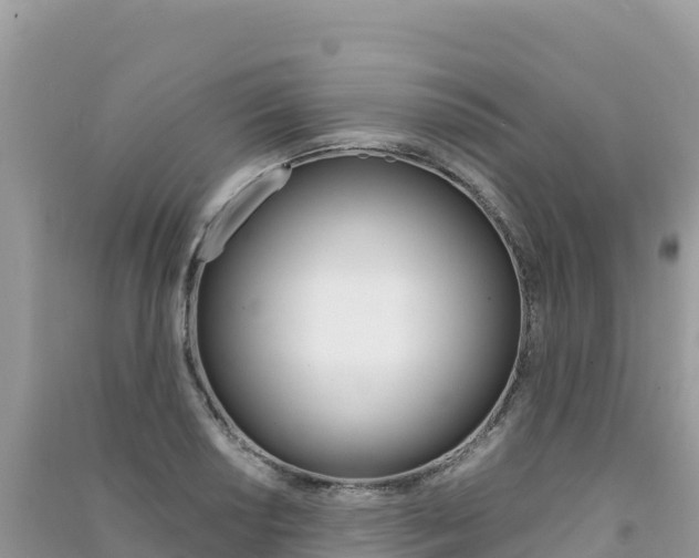 X0000091311034200708101104