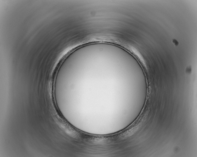 X0000091311035200708101104