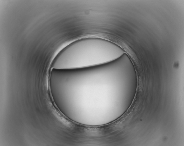 X0000091311036200708101104
