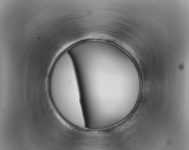 X0000091311037200708101104