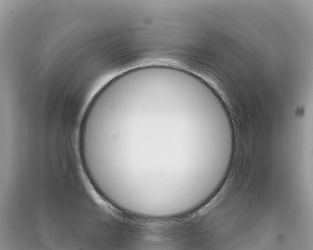 X0000091311038200708101104