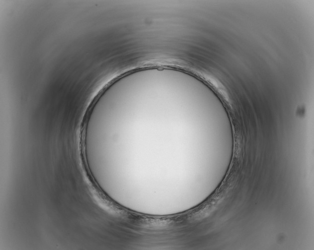 X0000091311039200708101104