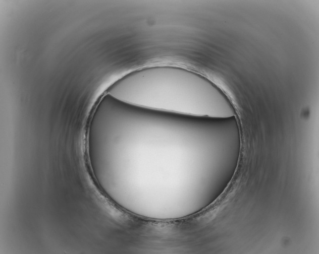 X0000091311040200708101104