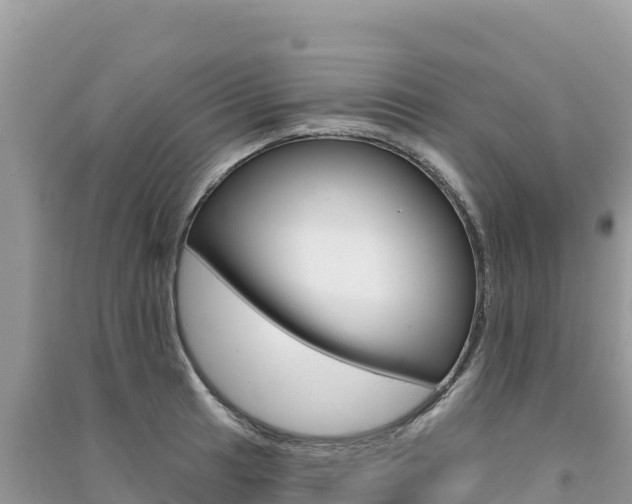X0000091311041200708101104
