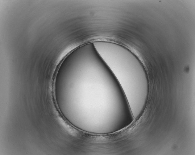 X0000091311042200708101104
