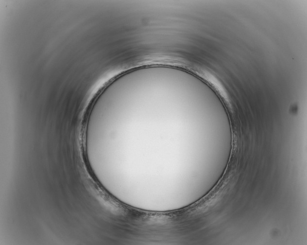 X0000091311043200708101104