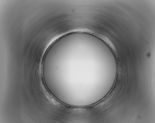 X0000091311044200708101104