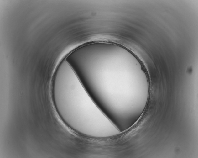 X0000091311045200708101104