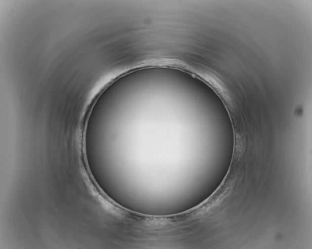 X0000091311046200708101104