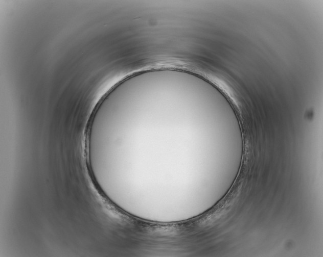 X0000091311047200708101104