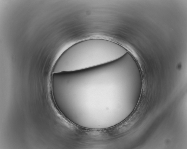 X0000091311048200708101104