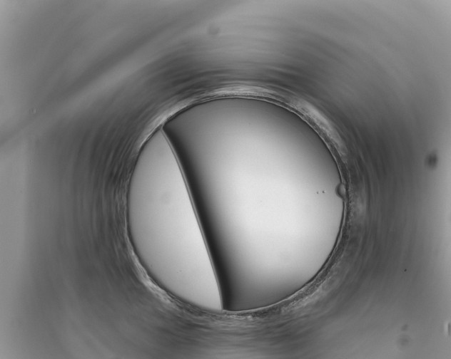 X0000091311049200708101105