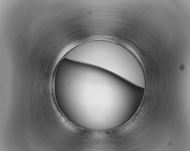 X0000091311050200708101105