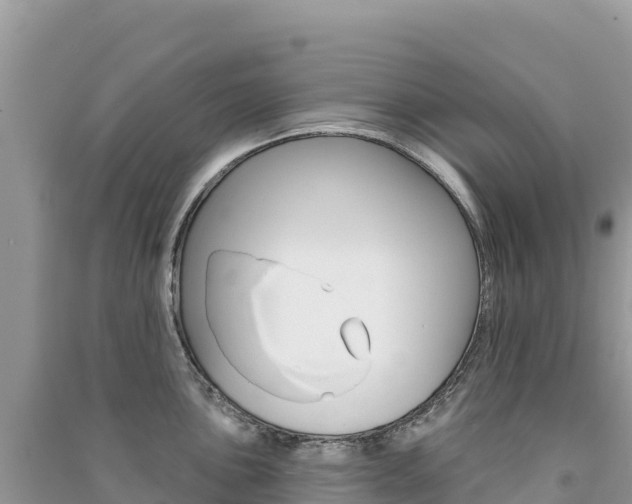 X0000091311051200708101105