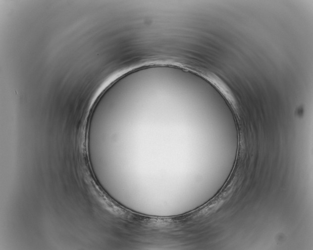 X0000091311052200708101105