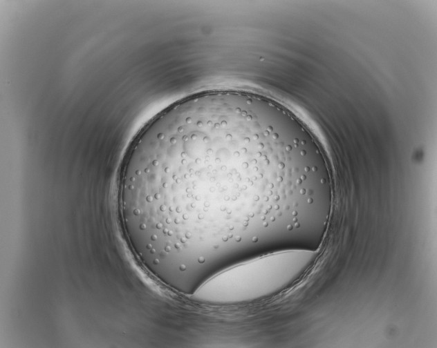 X0000091311053200708101105