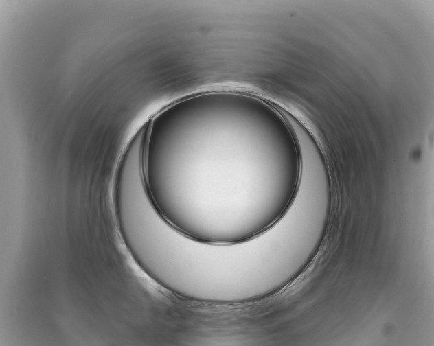 X0000091311054200708101105