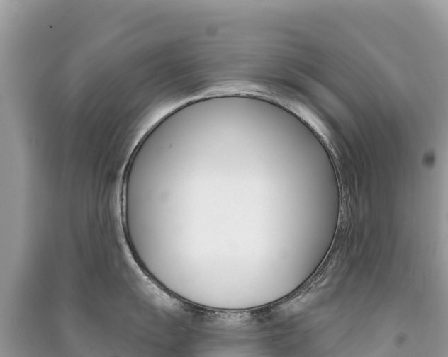 X0000091311055200708101105