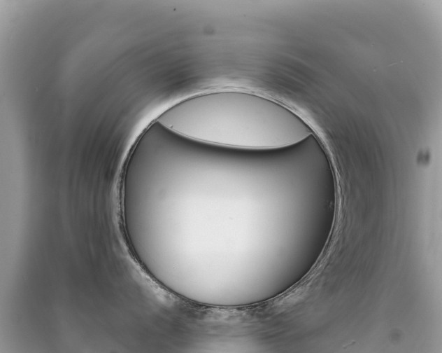 X0000091311056200708101105