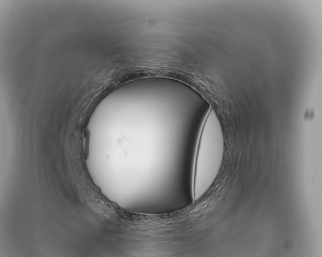 X0000091311057200708101104