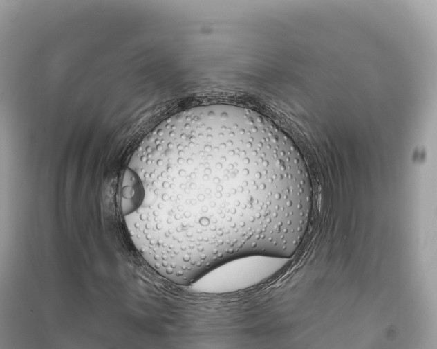 X0000091311059200708101104