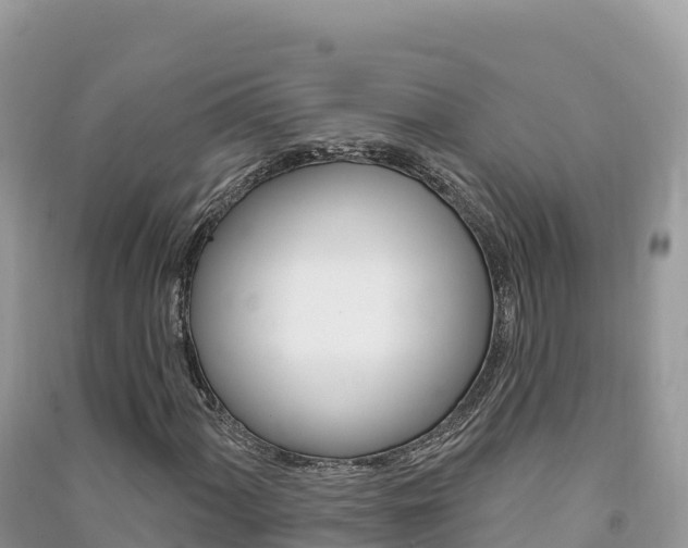 X0000091311060200708101104