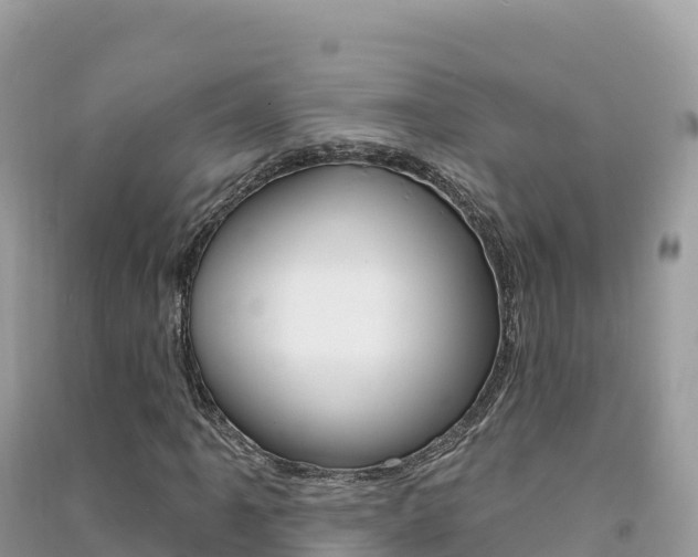X0000091311061200708101104