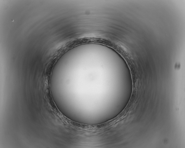 X0000091311062200708101104