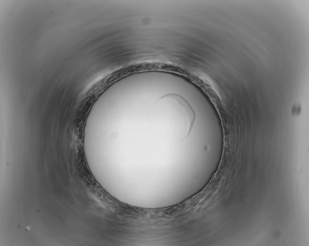 X0000091311064200708101104
