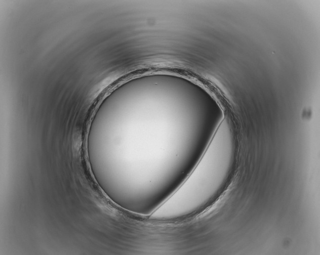 X0000091311065200708101104
