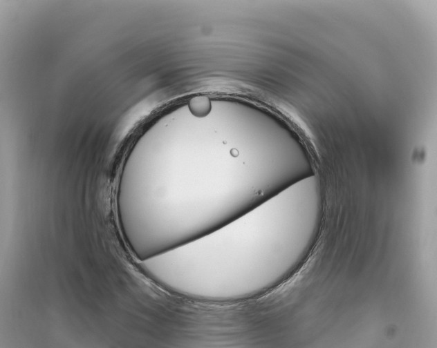 X0000091311067200708101104