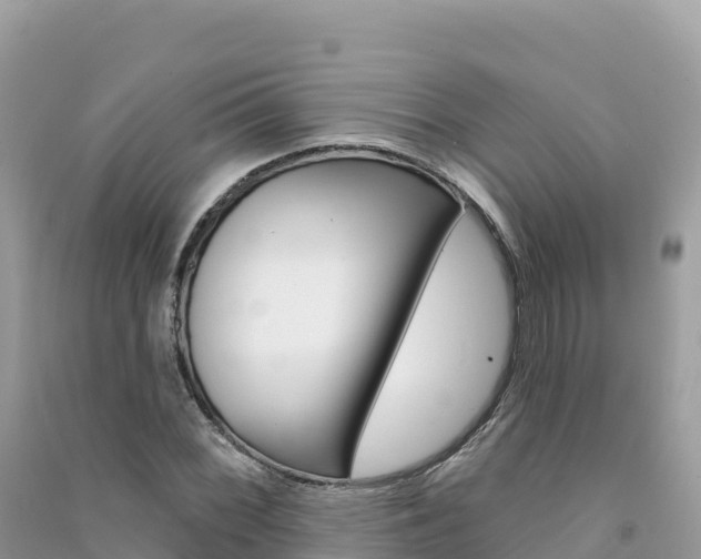 X0000091311068200708101104