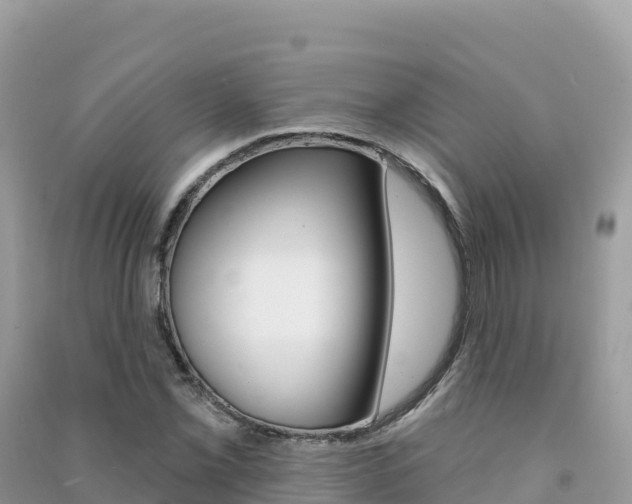 X0000091311069200708101104