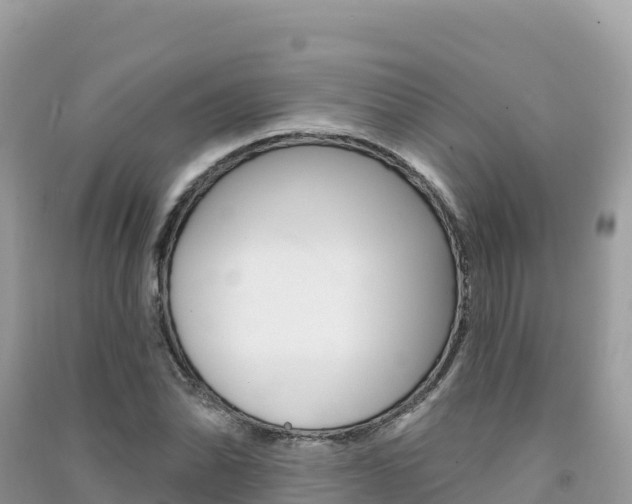 X0000091311070200708101104