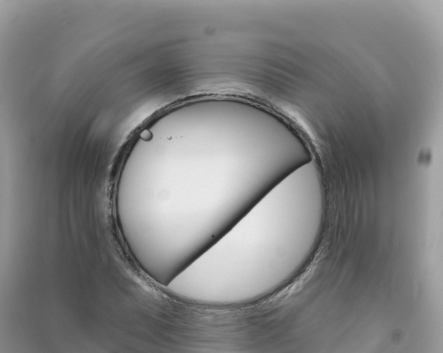 X0000091311071200708101104