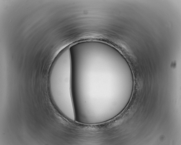 X0000091311073200708101104